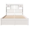 vidaXL Bookcase Bed without Mattress White 135x190cm Double Solid Wood Pine