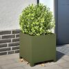 Product Thumbnail Image 2 of 12