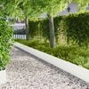 Product Thumbnail Image 2 of 10
