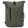 Olive_green