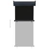 vidaXL Balcony Side Awning 85x250 cm Black