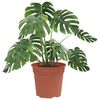 Product Thumbnail Image 3 of 9