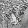 Product Thumbnail Image 6 of 7