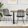 vidaXL Dining Chair 2 pcs Black 44 x 47 x 85 cm Rattan and Iron