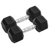vidaXL Dumbbells 2 pcs 8 kg Total Cast Iron