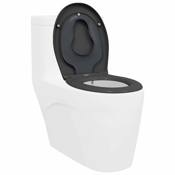 vidaXL Quick Release Toilet suitable for Seat Anthracite