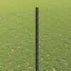 Product Thumbnail Image 4 of 14