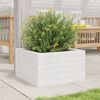 vidaXL Garden Planter White 40x40x23 cm Solid Wood Pine