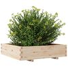 vidaXL Garden Planter 100x100x26.5 cm Solid Wood Pine