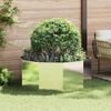 Product Thumbnail Image 2 of 10