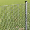 Product Thumbnail Image 4 of 13