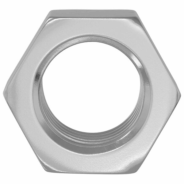 vidaXL Hex Nut 9000 pcs Silver Metal
