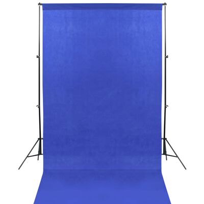 vidaXL Photo Studio Kit with 13 Backdrops 1.6x5 m Steel Black