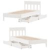 Product Thumbnail Image 9 of 11