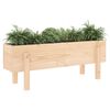 vidaXL Garden Raised Bed 101x30x38 cm Solid Wood Pine
