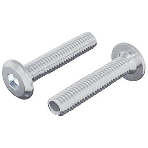 vidaXL Lock Screw Plain 2 pcs Silver M6 x 30 mm Steel