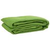 vidaXL Tent Carpet Light Green 250x200 cm HDPE