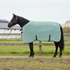 vidaXL Horse Blanket Special Green Polyester