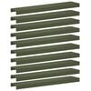 Olive_green