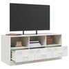vidaXL TV Cabinet White 99x39x44 cm Steel