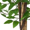 Product Thumbnail Image 3 of 5