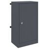 vidaXL Mailbox with Storage with Door Anthracite 30 x 20 x 55 cm Steel
