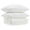 vidaXL 90% Goose Down Duvet Set FULDA 3 pcs 240 x 260 cm Winter White