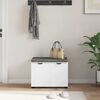 vidaXL Hall Bench with Cushion with Storage White 60 x 38 x 46 cm
