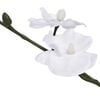 Product Thumbnail Image 2 of 2