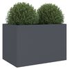 Product Thumbnail Image 4 of 11