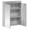 vidaXL Bathroom Mirror Cabinet TULUM Grey Sonoma 60 x 16.5 x 78 cm