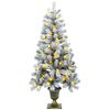 Product Thumbnail Image 4 of 11