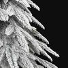 Product Thumbnail Image 4 of 8