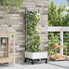 Product Thumbnail Image 2 of 7