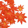 Product Thumbnail Image 5 of 6