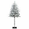 Product Thumbnail Image 3 of 7