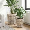 Product Thumbnail Image 2 of 12