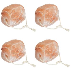 vidaXL Salt Lick Stones 4 pcs Pink Rock Salt