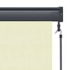 vidaXL Outdoor Roller Blind 120x250 cm Cream