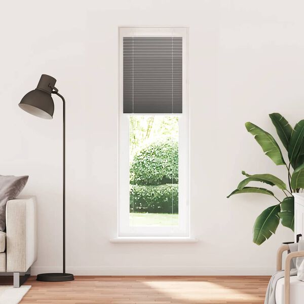 vidaXL Pleated Blind Anthracite 55x200 cm Fabric Width 54.4 cm Polyester