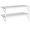 vidaXL Wall Shelves 2 pcs 100x40 cm Silver Stainless Steel