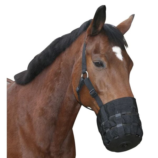 Covalliero Horse Muzzle Shetty Black