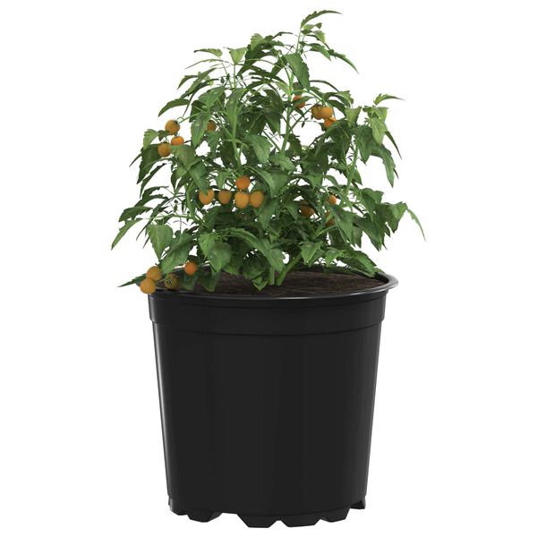 vidaXL Flower Pot 50 pcs Black &Oslash; 15 x 13 cm Plastic
