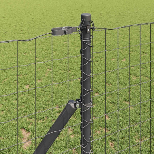 Showing Product Image 4 of 17