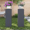 vidaXL Plant Stand 2 pcs Anthracite 24 x 24 x 75 cm Steel