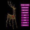 vidaXL 3D Reindeer with 250 LEDs Warm white 180 cm Rattan