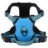 vidaXL Dog Harness with Lead & Collar Adjustable Blue S