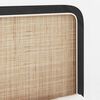 vidaXL Headboard with Headboard Black 100 x 55 x 3 cm Rattan