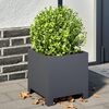 Product Thumbnail Image 2 of 10