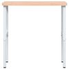 vidaXL Workbench 100x60x(73-99.5) cm Solid Wood Beech Rectangular